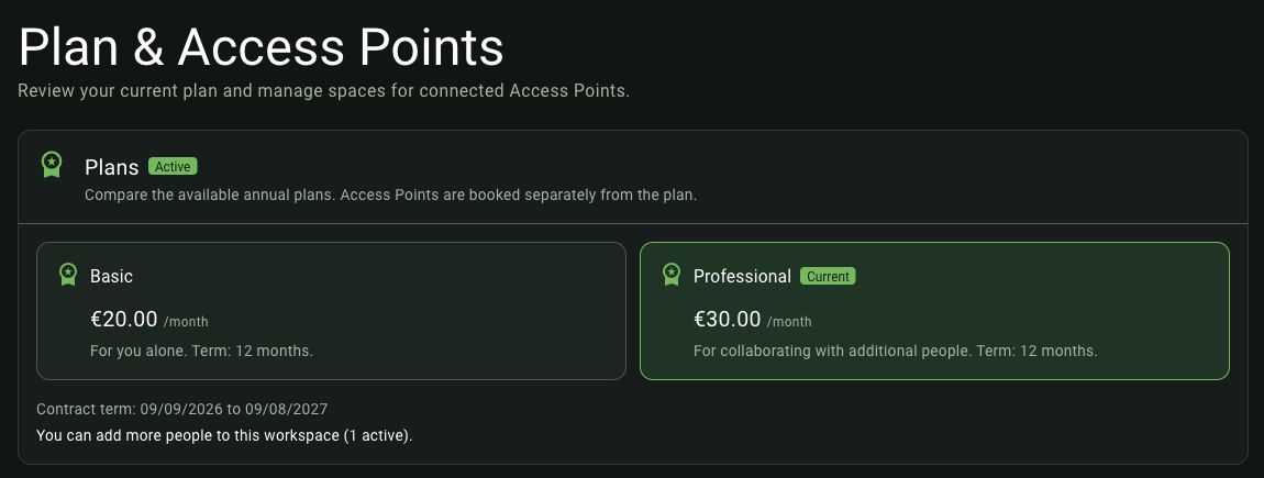 Current Professional plan and contract term in the demo workspace.